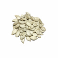 Nova safra deliciosa lanche 11mm de semente de abóbora branca de neve com melhor qualidade